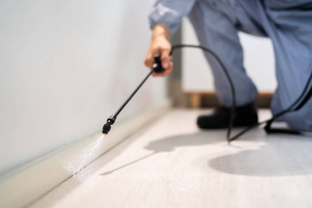 Licensed Cockroach Control service in Hudson, MI - Nex Pest Control