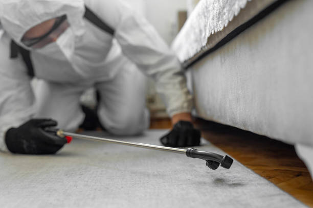 Professional Cockroach Control technician working in Hudson, MI