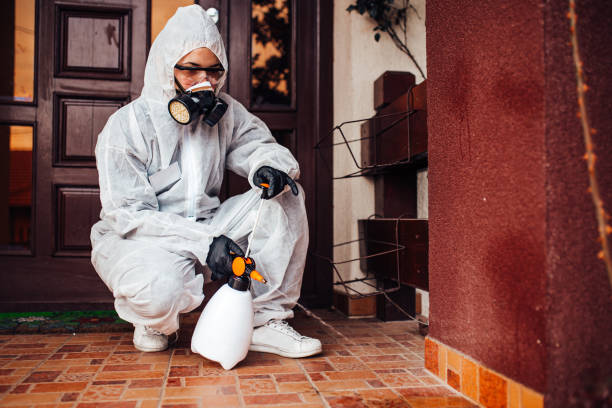 Reliable Cockroach Control contractor in Hudson, MI by Nex Pest Control