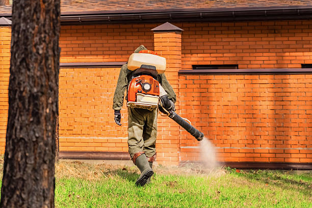 Top rated local Cockroach Control specialists in Hudson, MI